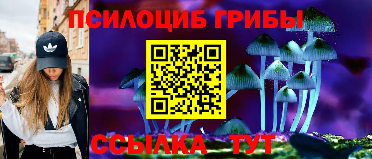 где можно купить наркотик  Вход с VPN  Новоуральск  Псилоцибиновые грибы Cubensis 