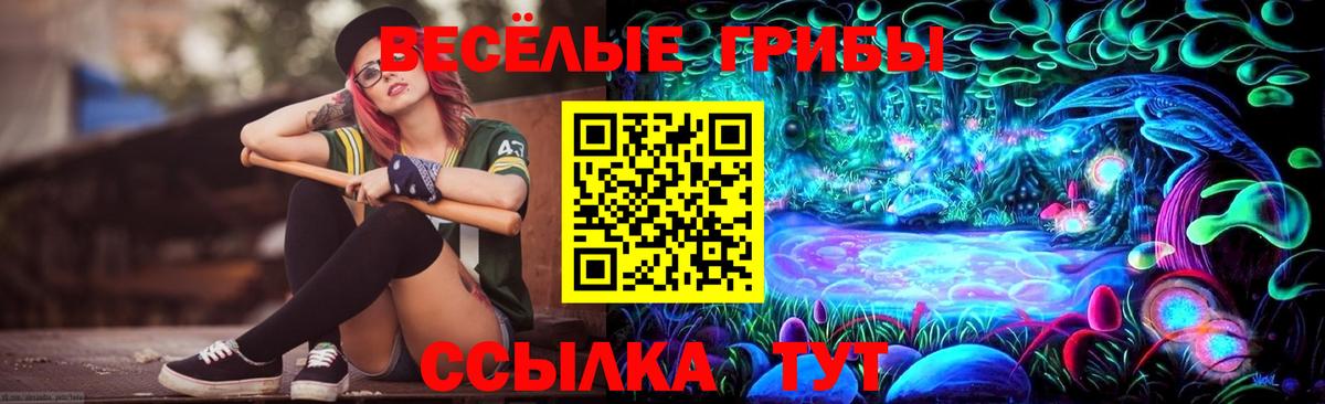 Псилоцибиновые грибы мухоморы Новоуральск