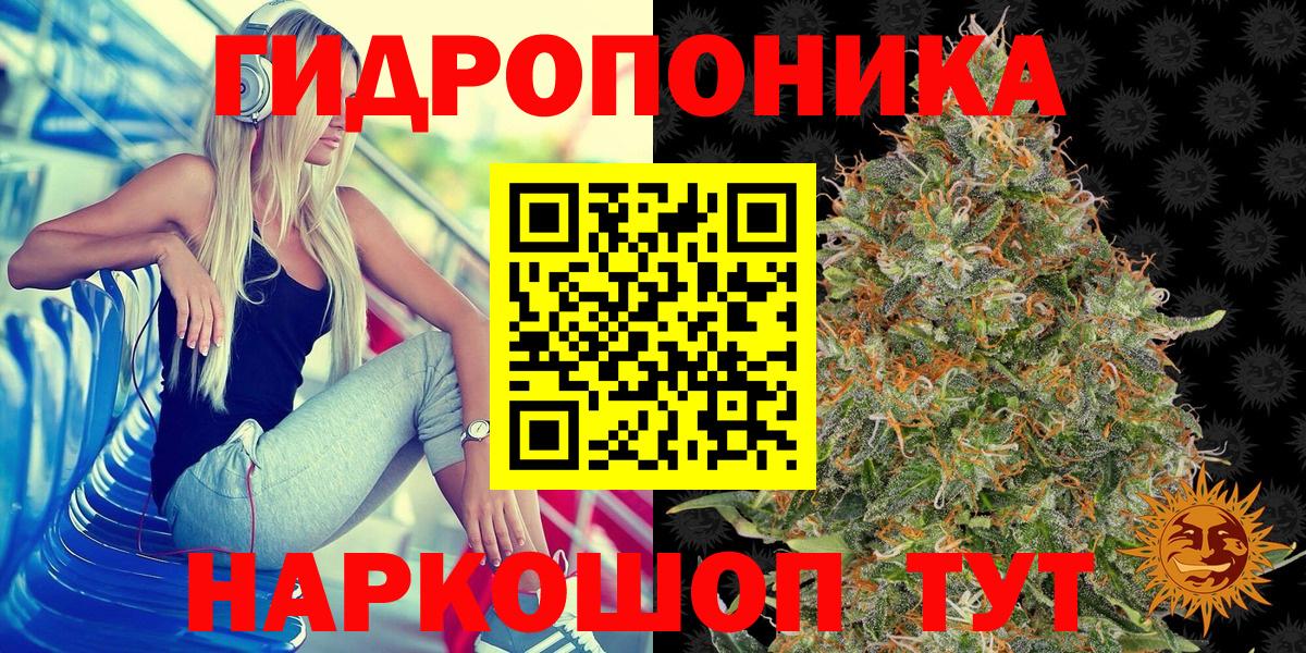 Конопля гибрид  Вход с VPN  Новоуральск  Марихуана MAZAR  МАРИХУАНА план 